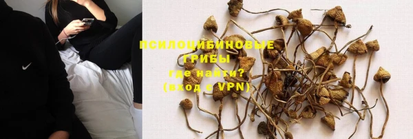 мет Семёнов