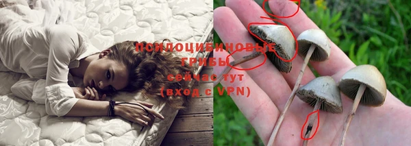 гидропоника Семилуки