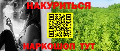 тгк Гай