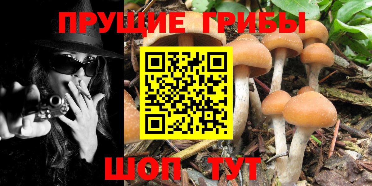 Богородицк  Галлюциногенные грибы Magic Shrooms  Вход с VPN 