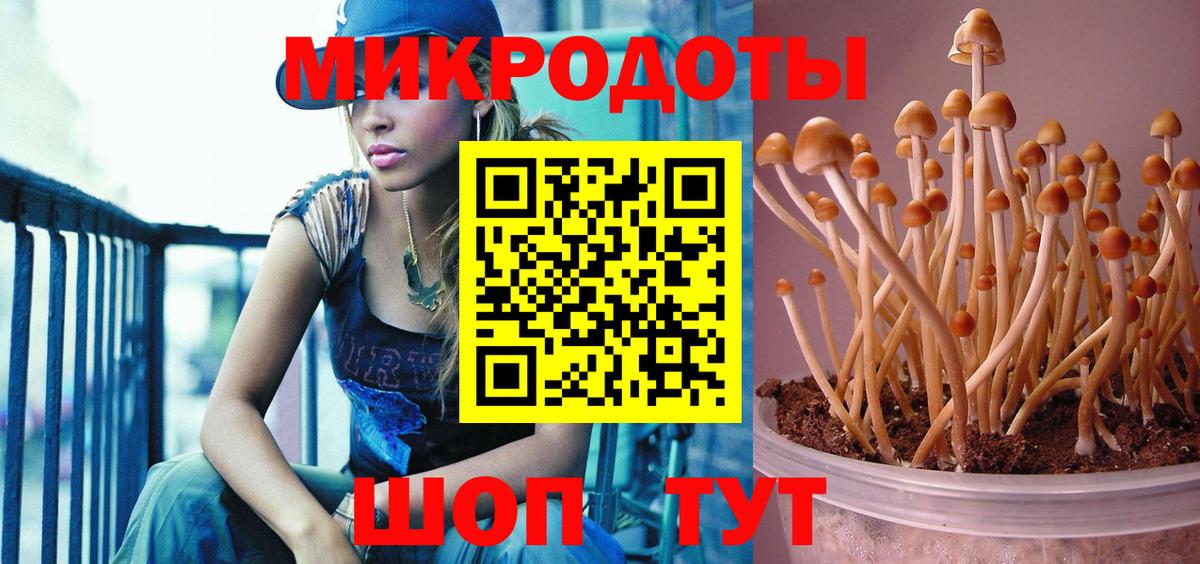 Галлюциногенные грибы ЛСД Богородицк